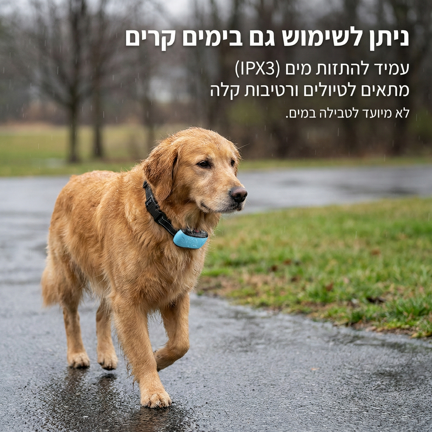 Bark Buddy - קולר לאילוף כלבים